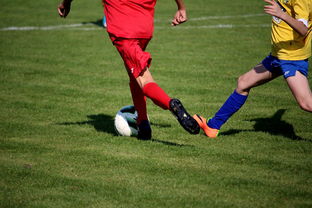 AC米兰队-“拳王争霸：四川省体育馆拳击赛将诞生新的世界拳王”